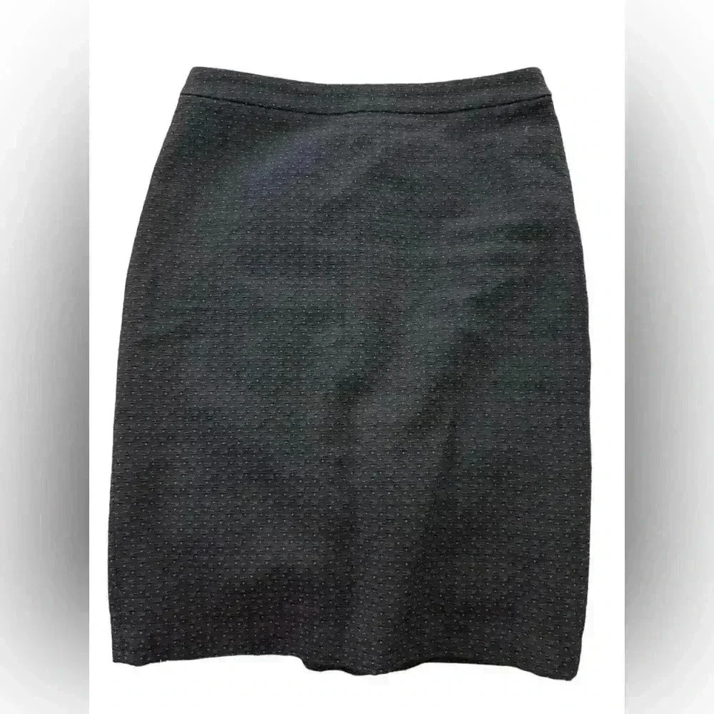 Ann Taylor Pencil Skirt